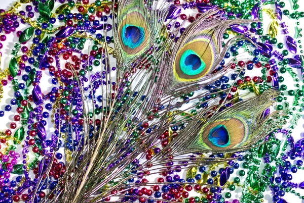 Plumas de pavo real de Mardi Gras — Foto de Stock