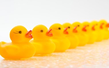 Ducks in a Row clipart