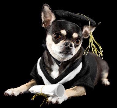 Graduation Dog clipart