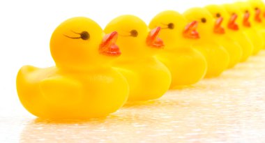 Ducks in a Row clipart