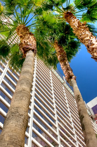 stock image Flamingo Hotel Las Vegas, Nevada