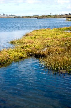 bolsa chica sulak alanlar