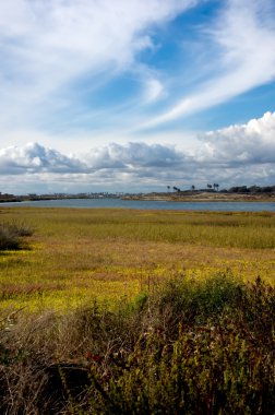 Bolsa Chica Wetlands clipart