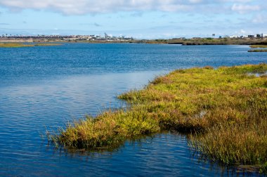 bolsa chica sulak alanlar