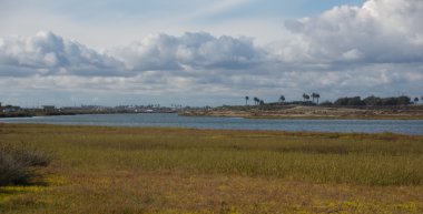 bolsa chica sulak alanlar