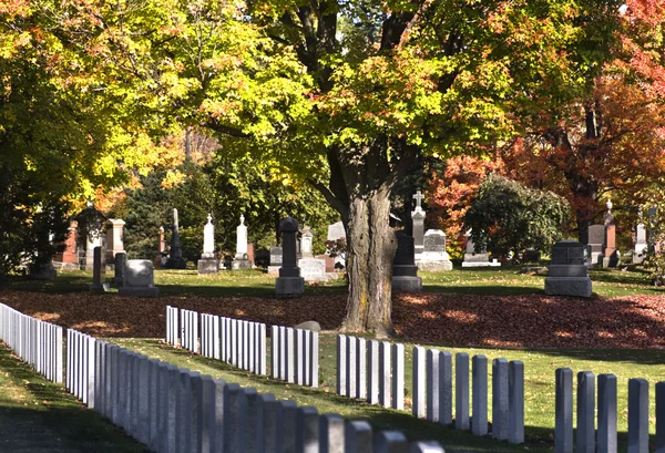 Stock image Soldiers resting in fall