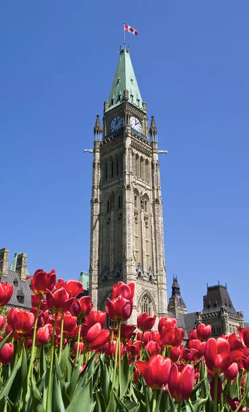 Voorjaar Parlement — Stockfoto