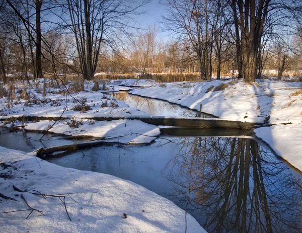 Vintern blue stream — Stockfoto