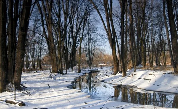 Corriente de invierno sinuosa —  Fotos de Stock