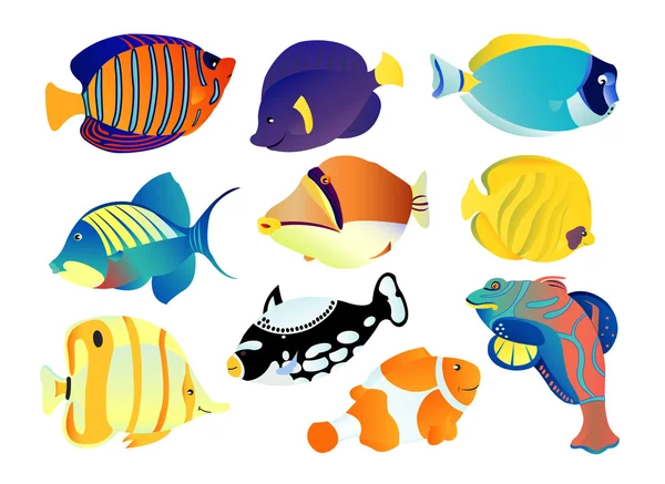 उष्णकटिबंधीय मछली संग्रह — स्टॉक वेक्टर