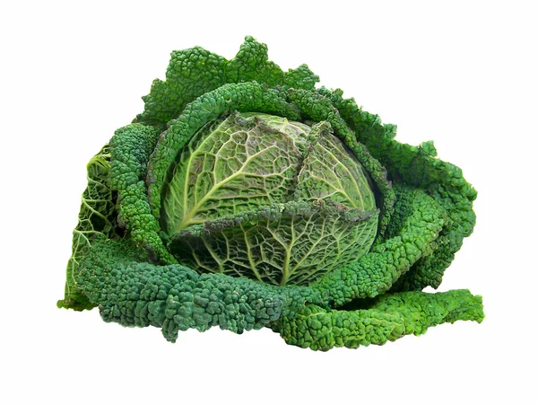 Isolated Cabbage — Stock Photo, Image