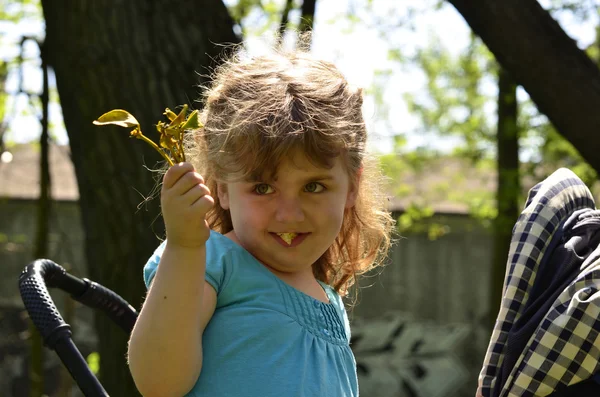 Little girl with bouquet of mistletoe — Stock Photo, Image