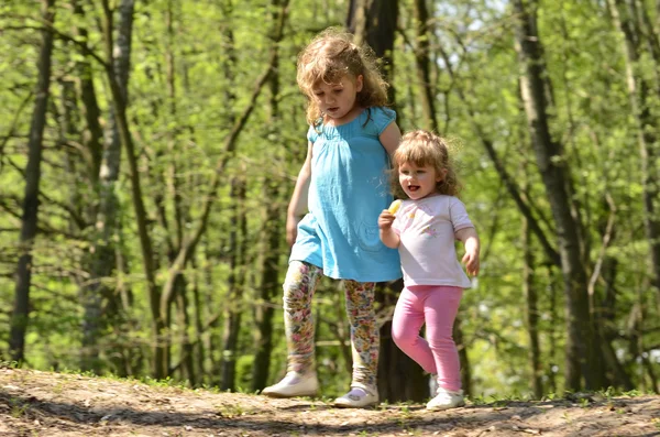 To små piger på spil i parken - Stock-foto