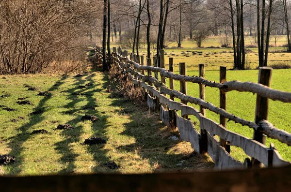 La clôture autour du pâturage . — Photo