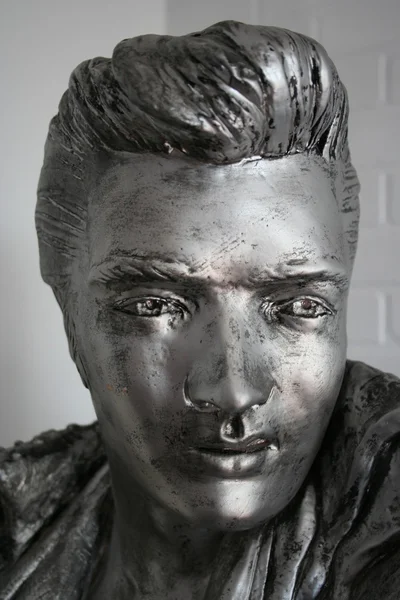 Elvis silver — Stock Image Elvis silver Stock Picture
