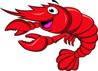 Shrimp cartoon clipart