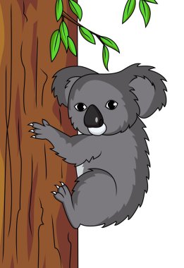 Koala Cartoon clipart