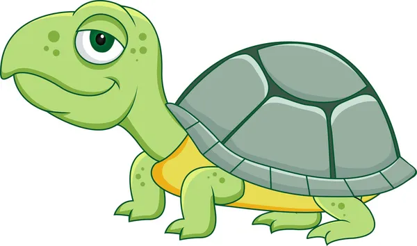 Turtle cartoon — Stock vektor