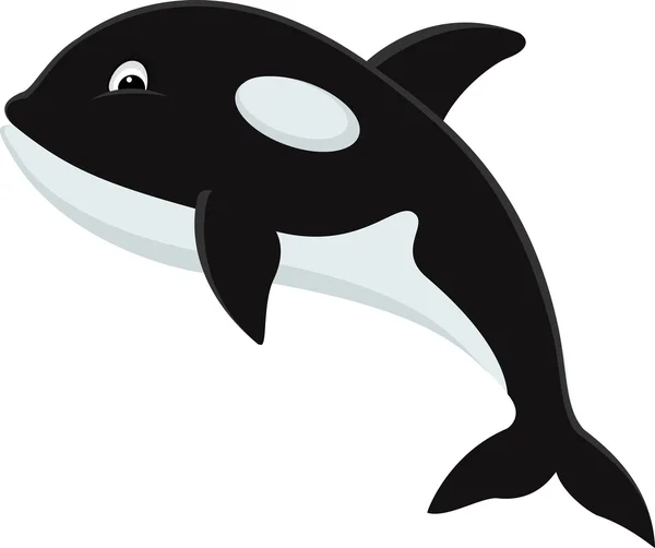 Desenhos animados Orca — Vetor de Stock