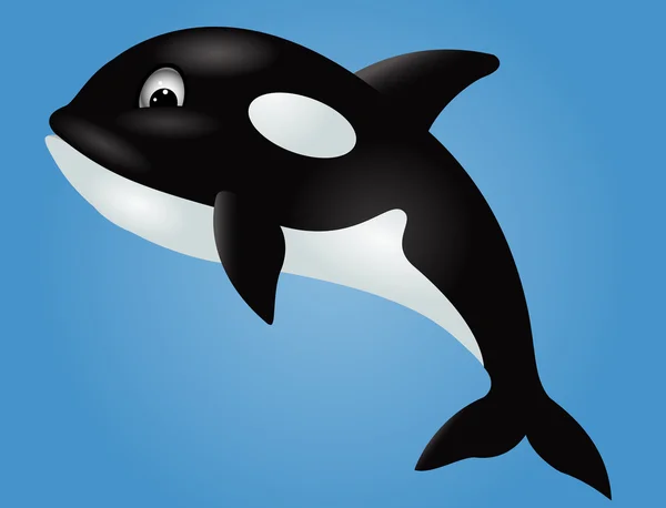 Orca karikatür — Stok Vektör