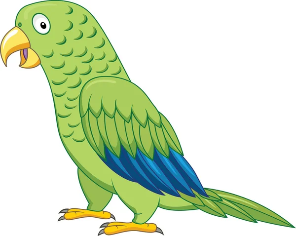 Yeşil papağan — Stok Vektör