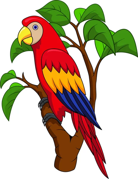 Papoušek pták kreslený — Stockový vektor