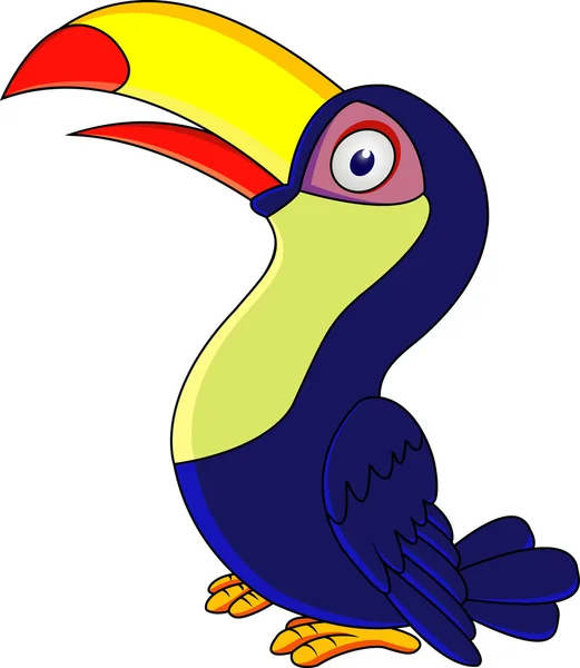 Desenhos animados de aves tucano —  Vetores de Stock