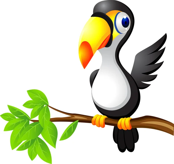 Toucan bird cartoon — Stock Vector