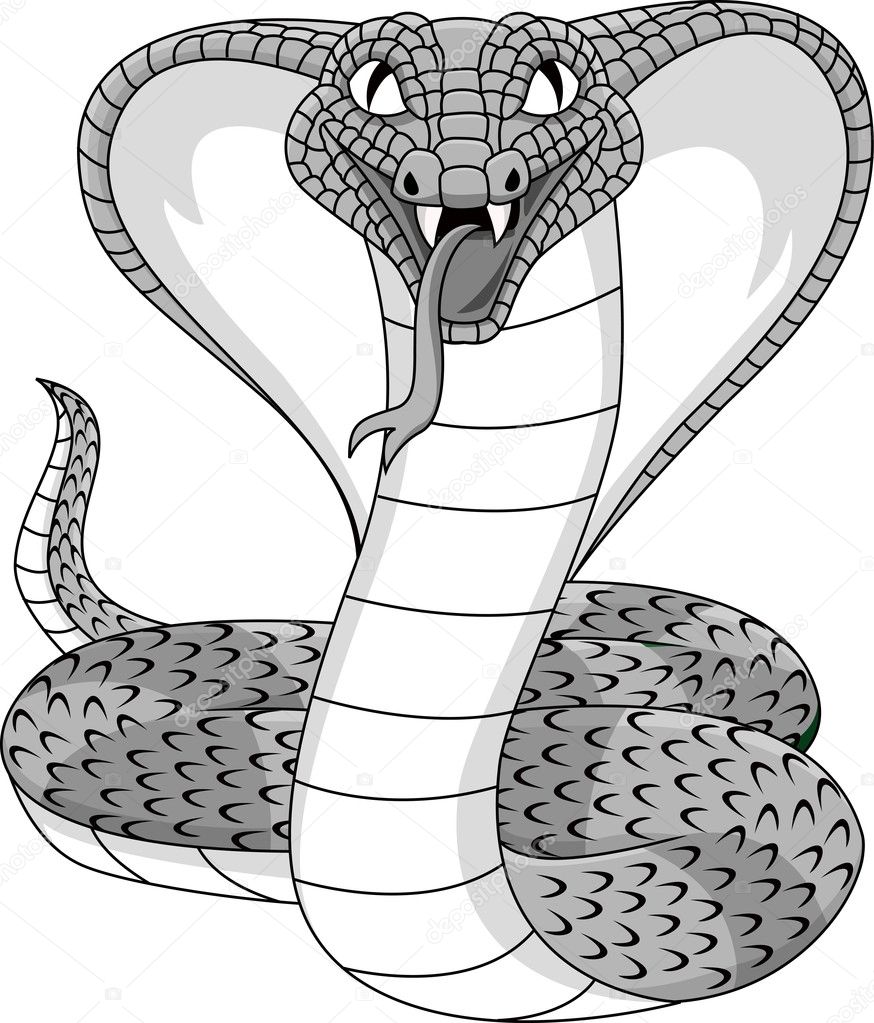 Serpiente de dibujos animados cobra verde imágenes de stock de arte  vectorial | Depositphotos
