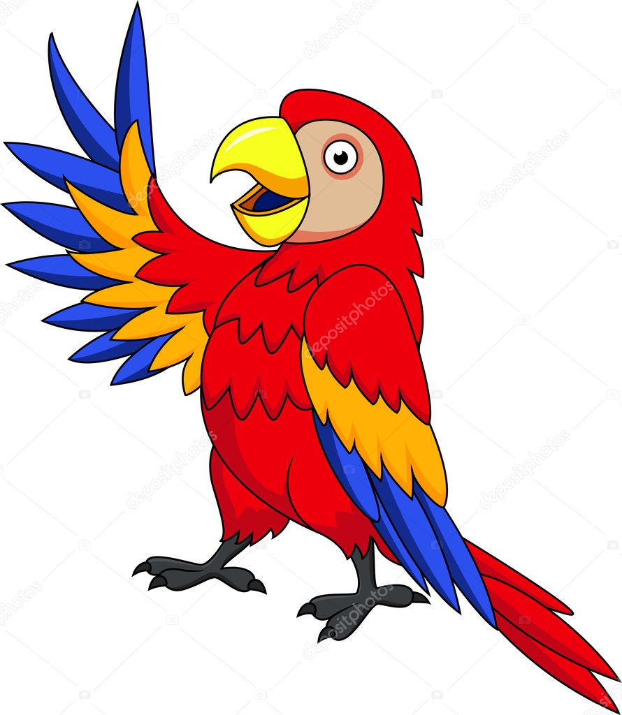 Macaw Bird Cartoon
