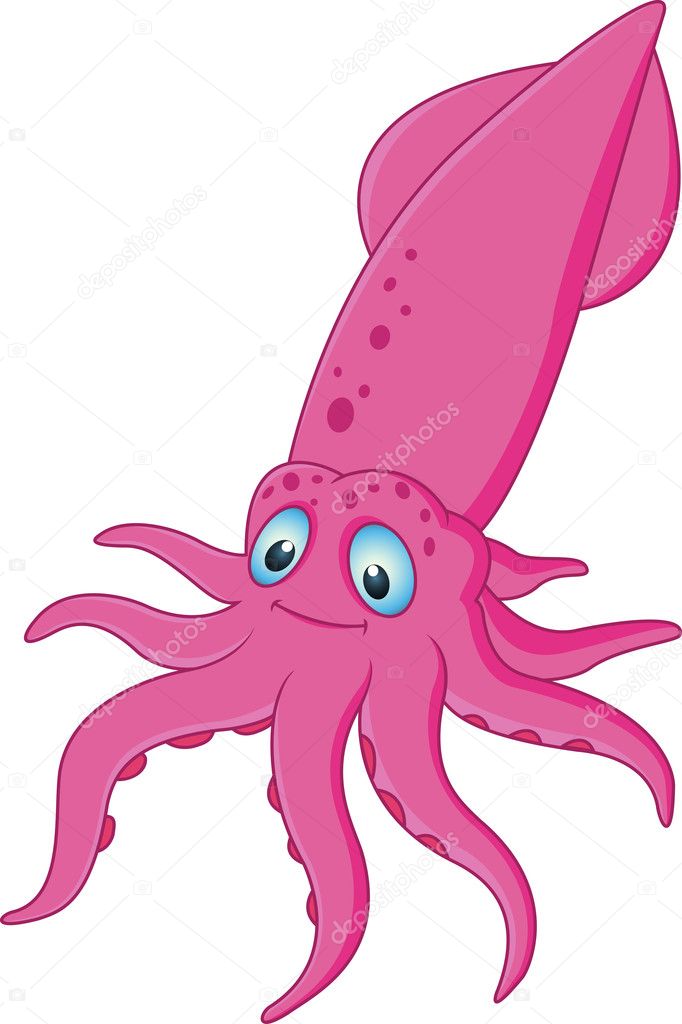 Squid cartoon