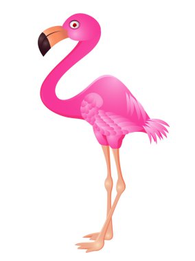 Flamingo cartoon clipart