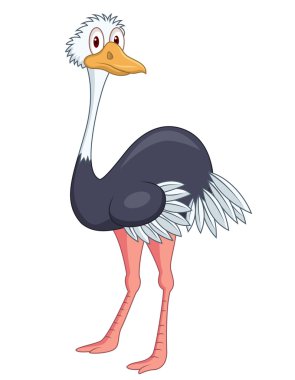 Ostrich cartoon clipart