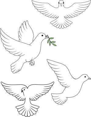 Dove vector clipart