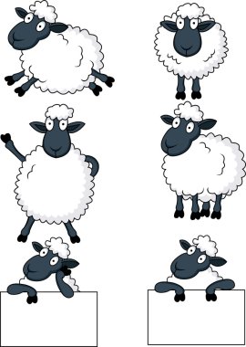 Sheep cartoon clipart
