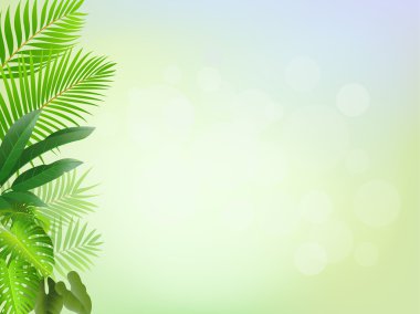 Palm tree frame background clipart