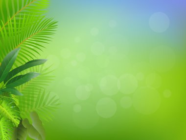 Palm tree frame background clipart