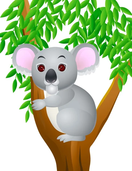Koala rajzfilm — Stock Vector