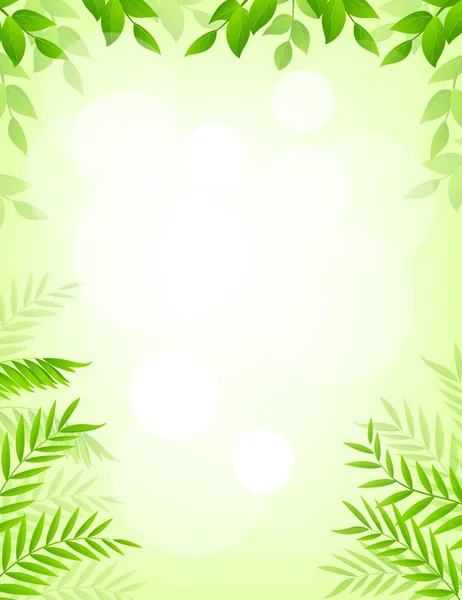 Leaves background — Stock Vector