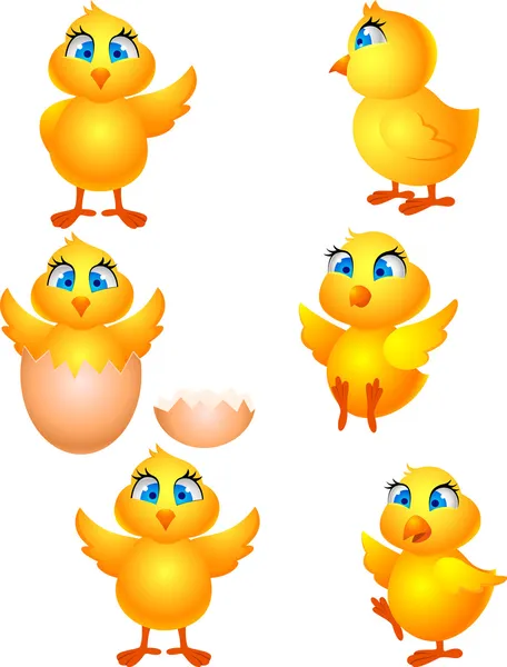 Petit poulet — Image vectorielle