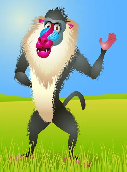 Dibujos animados babuino — Vector de stock
