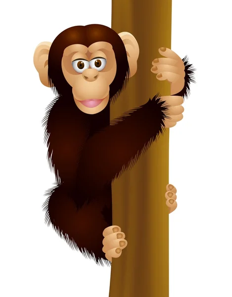 Chimpanzé engraçado —  Vetores de Stock