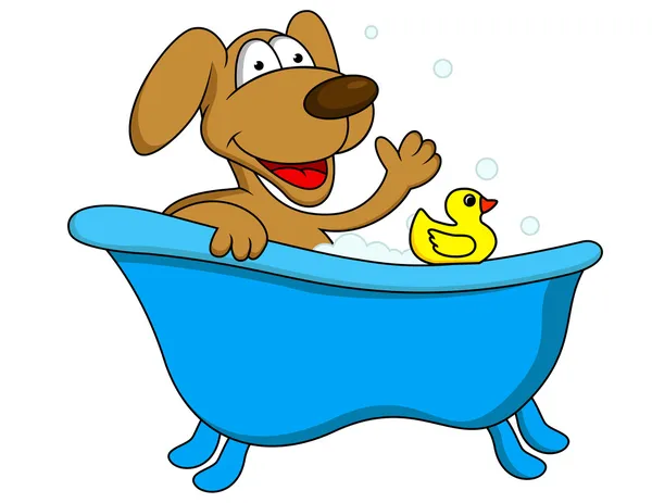 Hund bada — Stock vektor