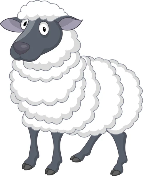 Cartone animato di pecora — Vettoriale Stock