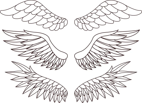Крило силует — стоковий вектор