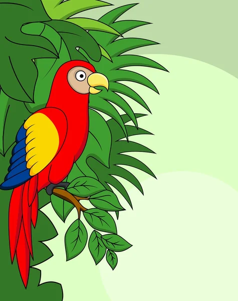 コンゴウインコ鳥 — ストックベクタ