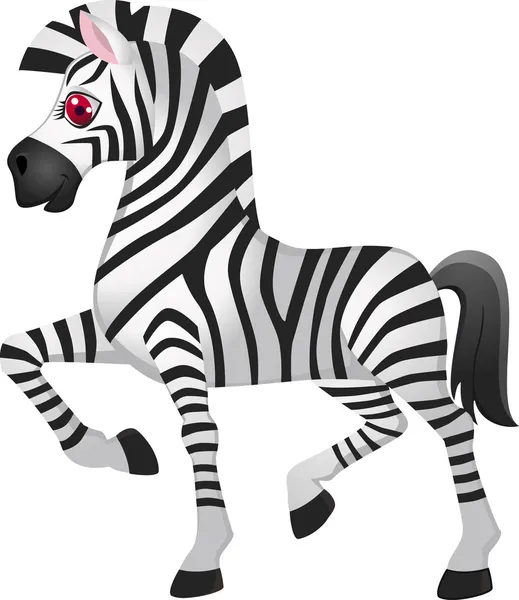 Desenhos animados Zebra — Vetor de Stock