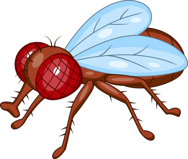 Caricatura de mosca — Vector de stock