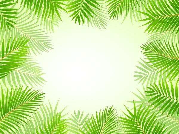 Palm tree frame background — Stock Vector