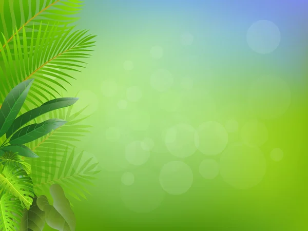 Arrière-plan cadre palmier — Image vectorielle